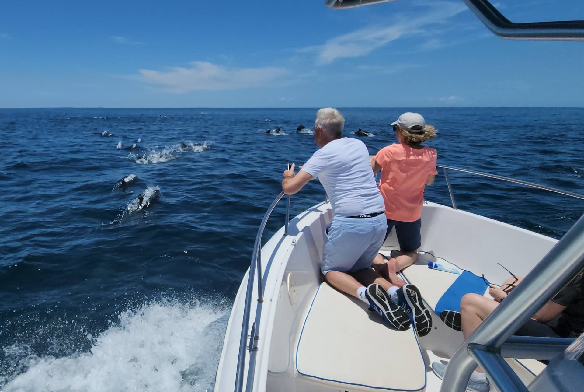 Mahi-mahi and marlin fishing near whale watching area