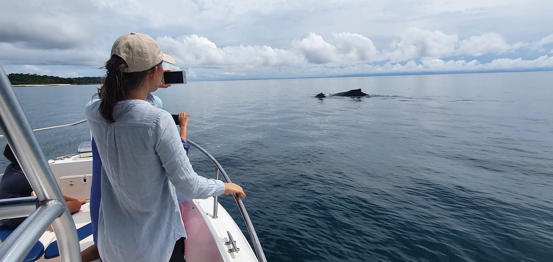 Spectacular humpback whale breach in Panama