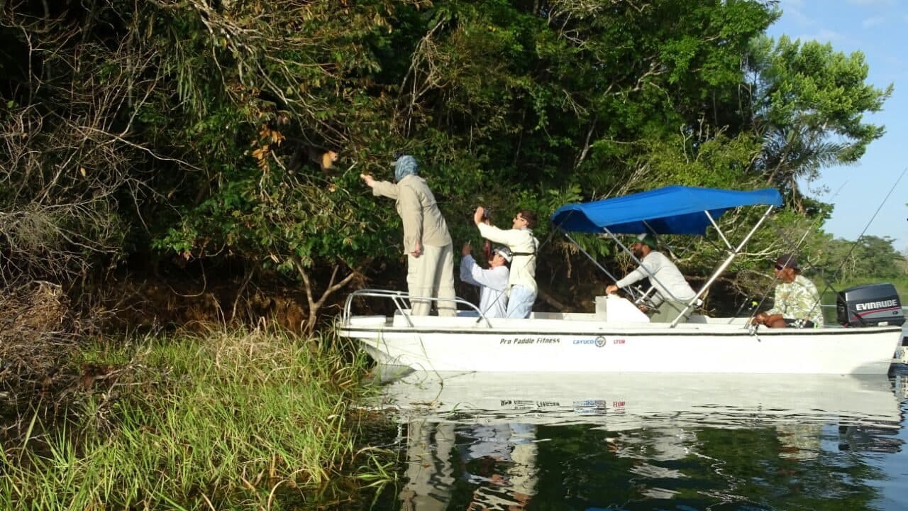 Grupo observando fauna en el lago