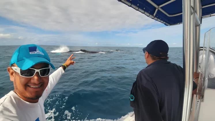 Avistamiento de Ballenas