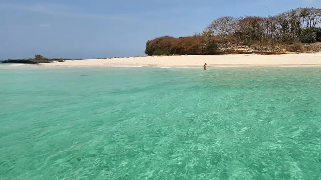 Gem Charters fishing experience