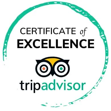Certificate of Excellence