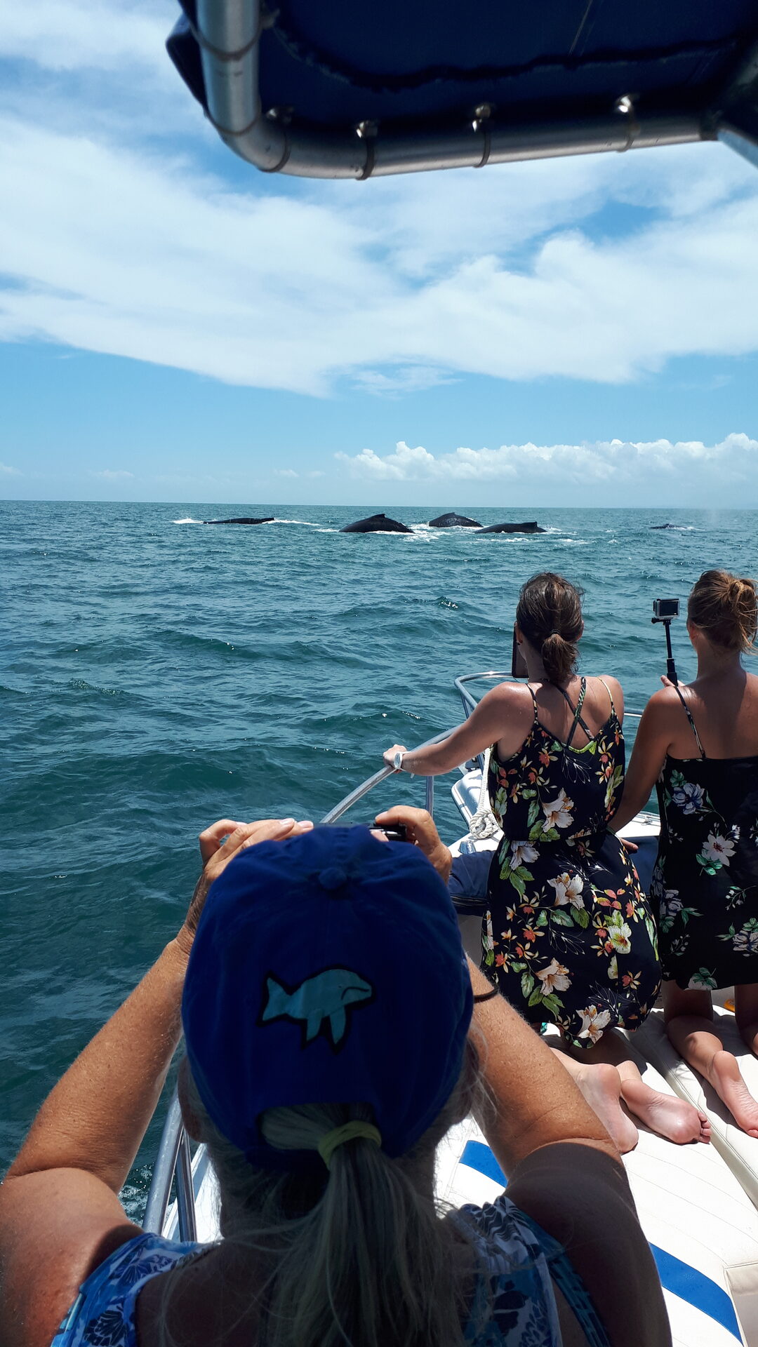 Ballena jorobada saltando frente a Las Perlas — Panama Gem Charters