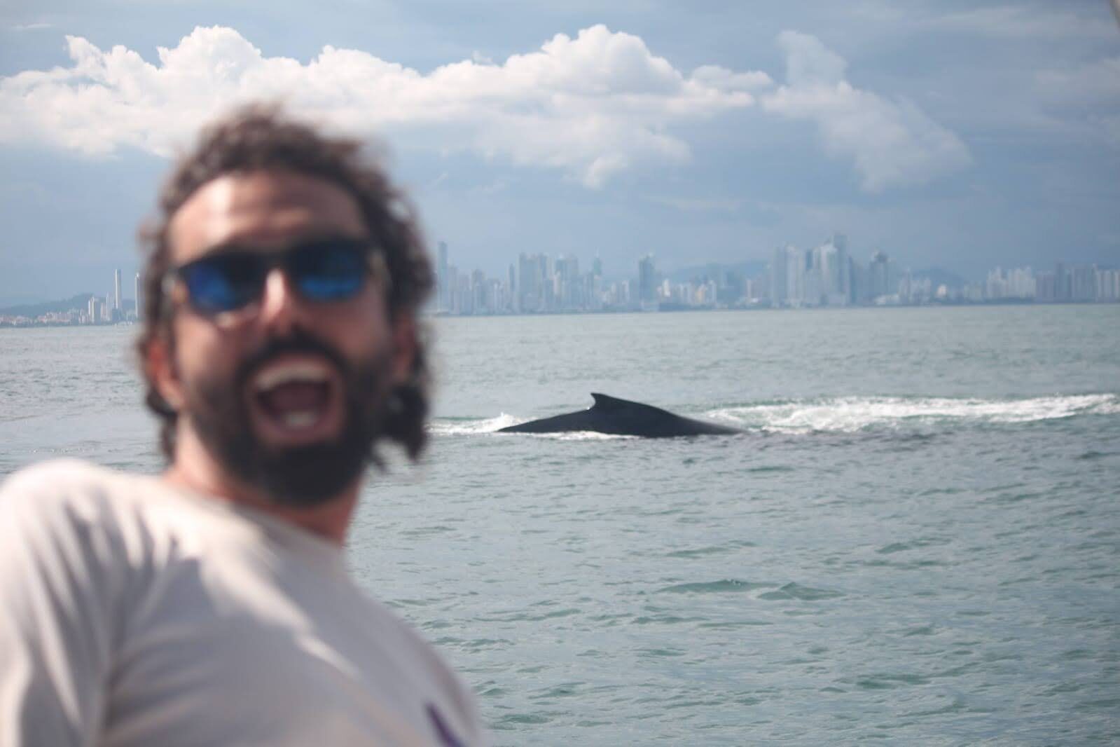 Delfines y ballenas en aguas del Pacífico, Las Perlas
