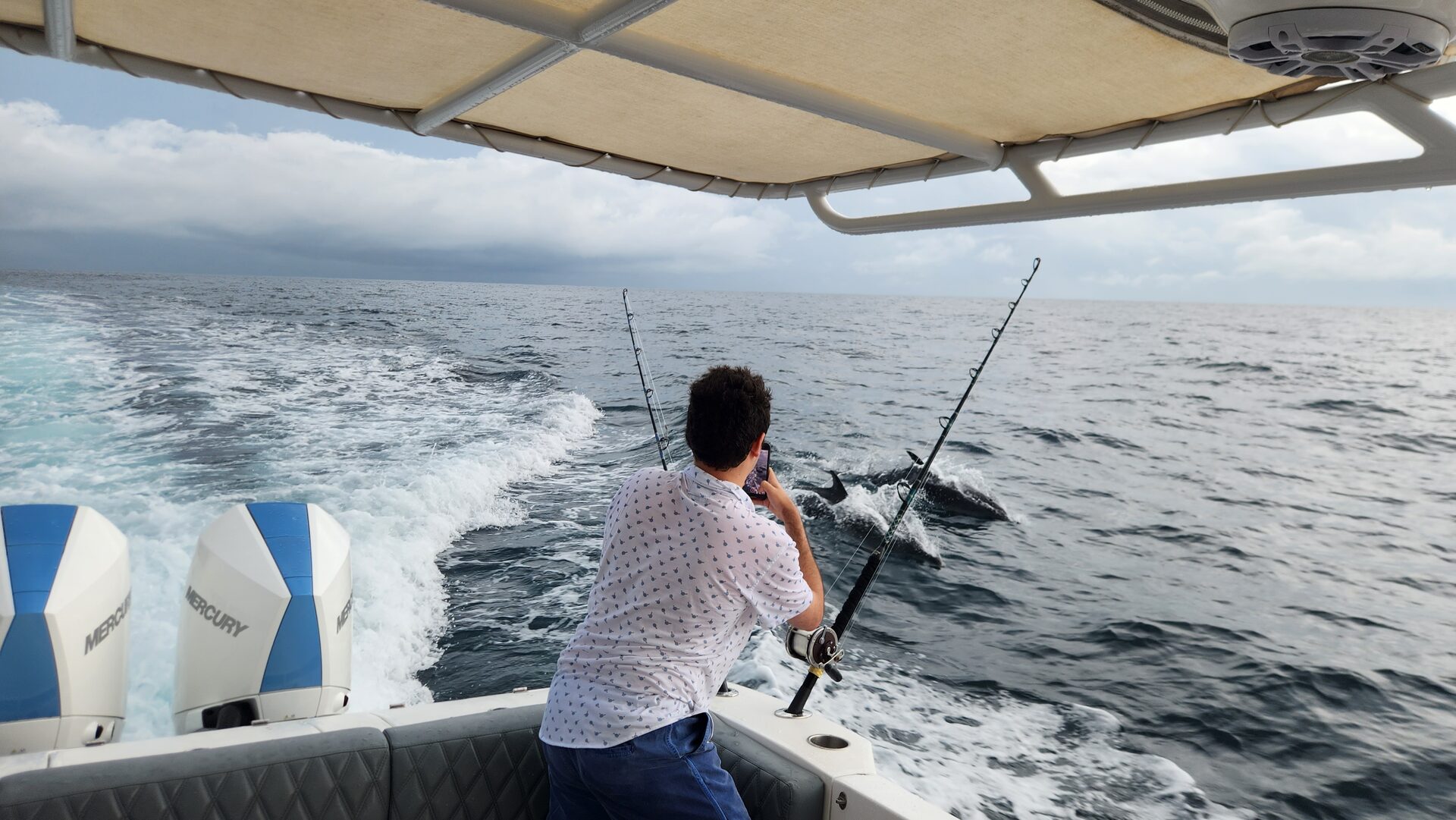 Ballena jorobada con Archipiélago de Las Perlas de fondo