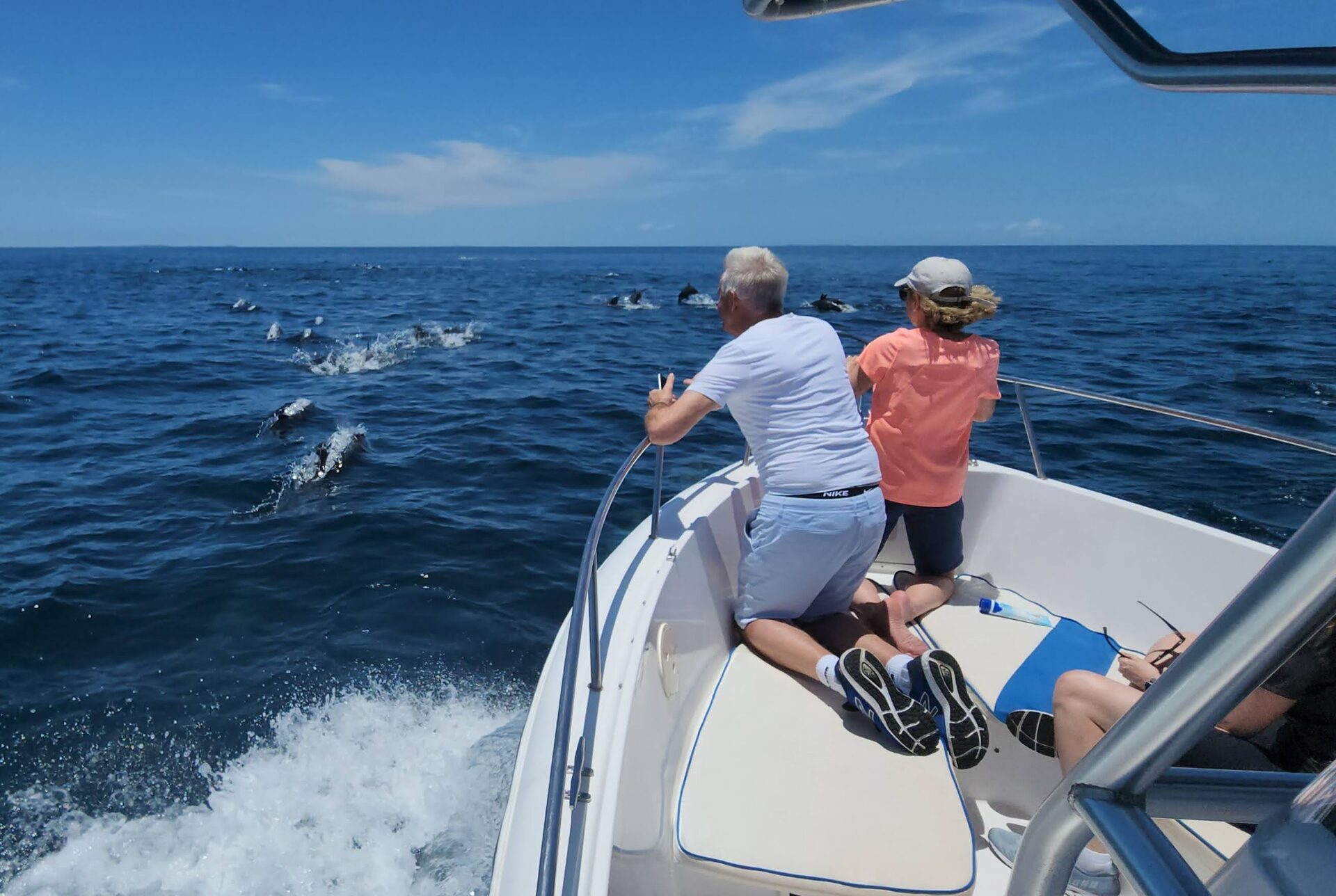 Pesca de dorado y marlín cerca del avistamiento de ballenas