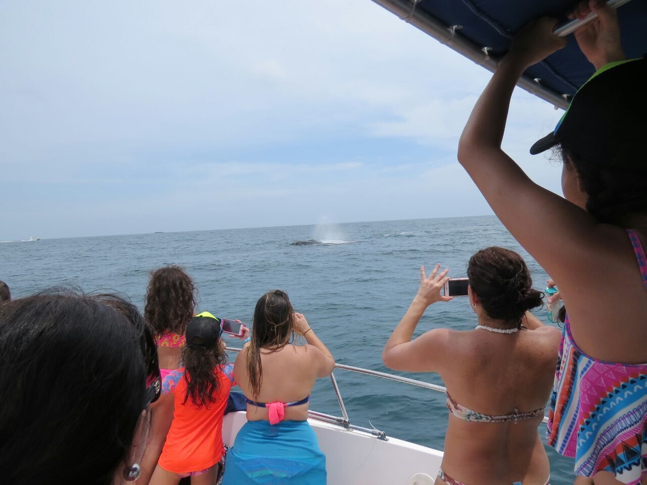 Tour de avistamiento de ballenas en el Archipiélago de Las Perlas