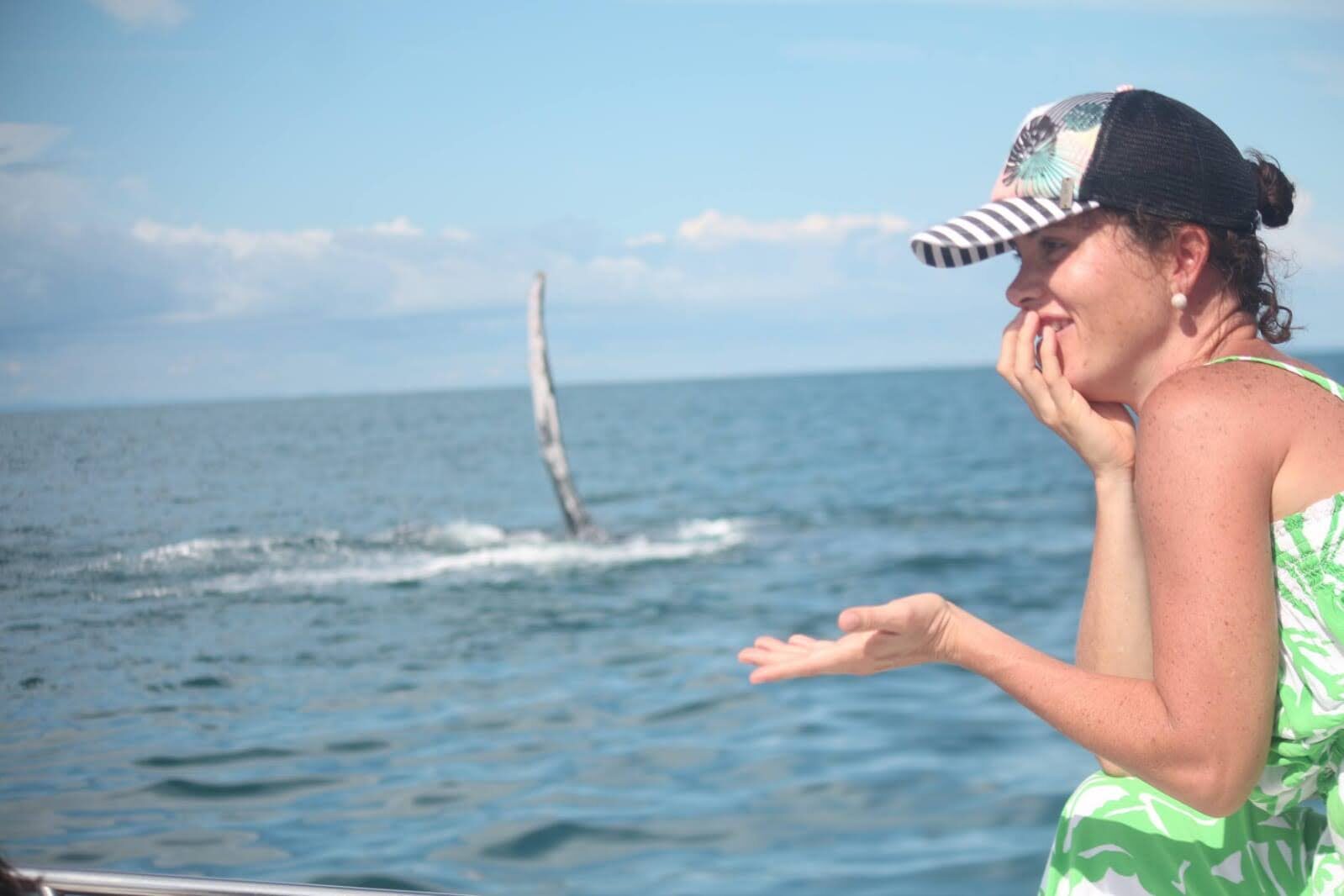 Cola de ballena jorobada emergiendo en Panamá