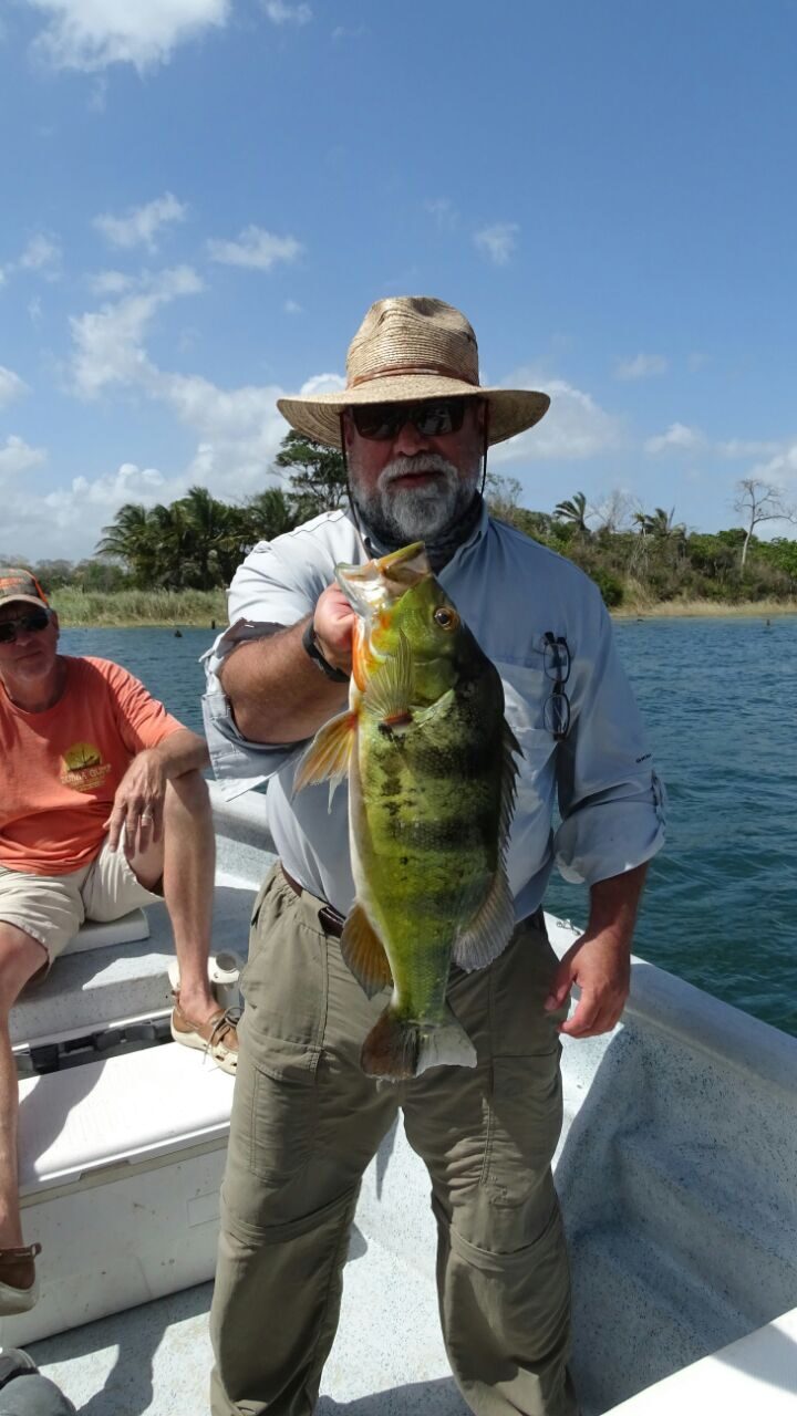 Pavón gigante del Lago Gatún — record de pesca en Panamá