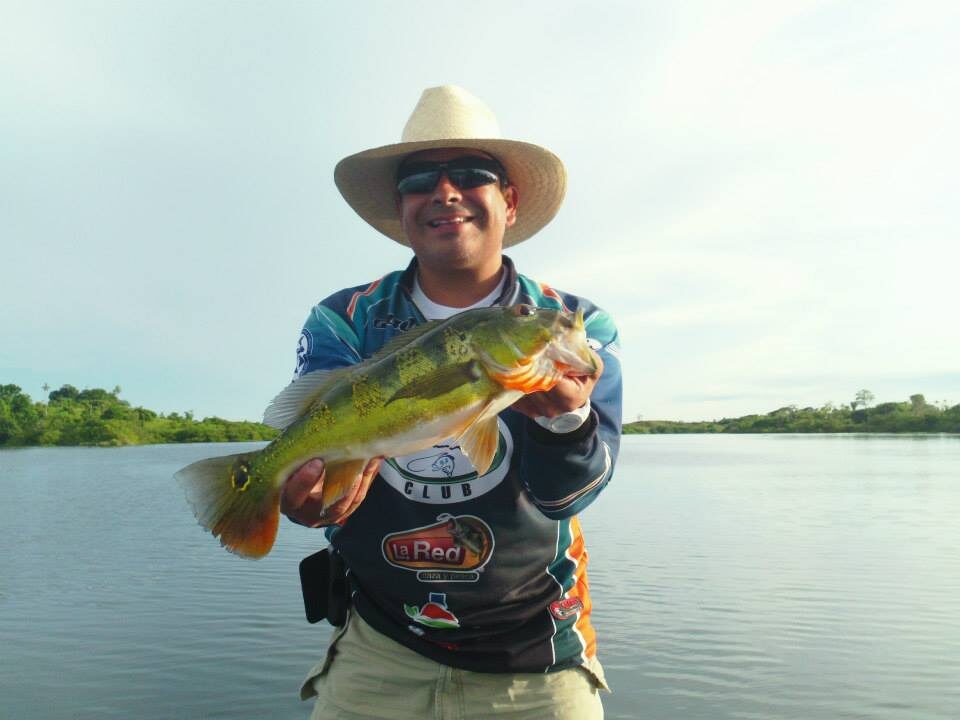 Pescador con enorme pavón en el Canal de Panamá