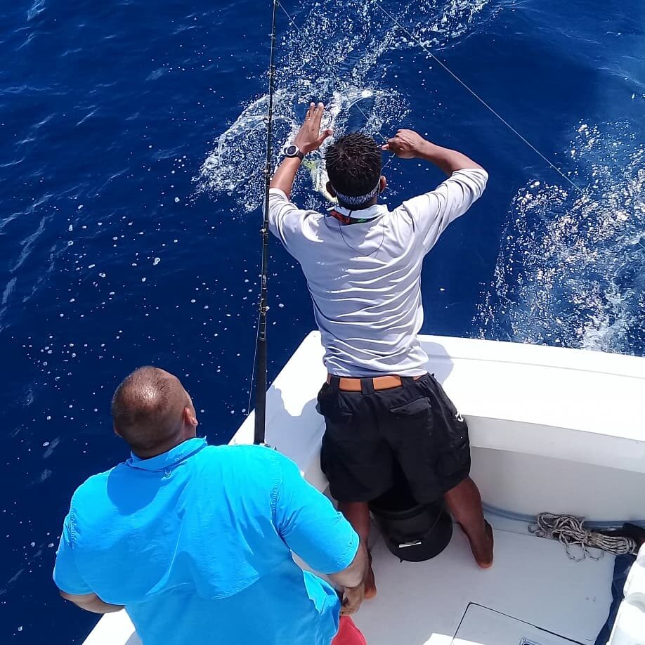 Pesca de pez espada y marlín en Panamá offshore