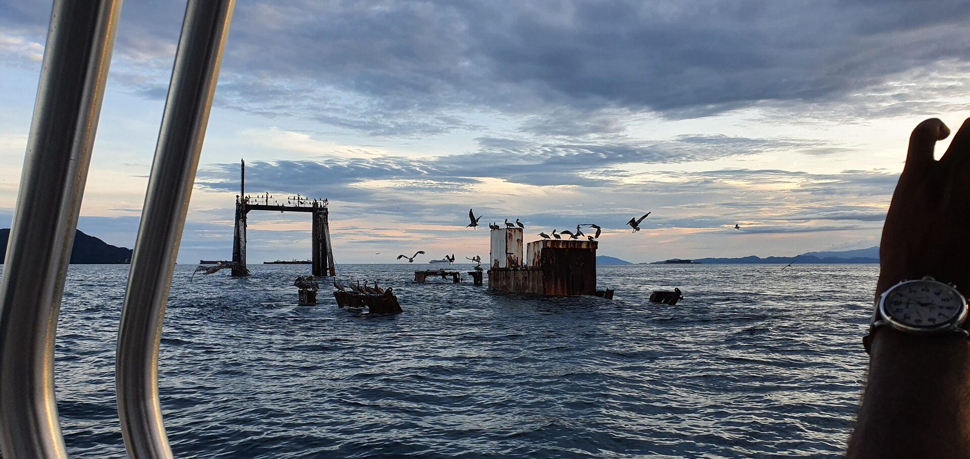Tour privado Bahía de Panamá — vistas únicas del Canal