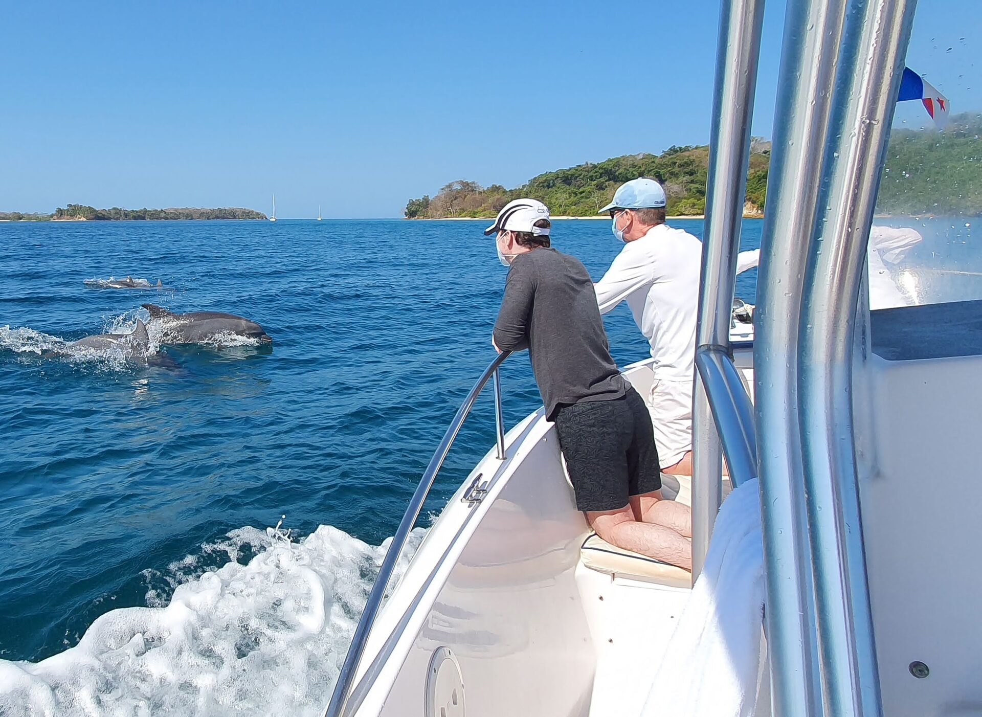 Vida marina — tour de buceo y snorkel en Las Perlas