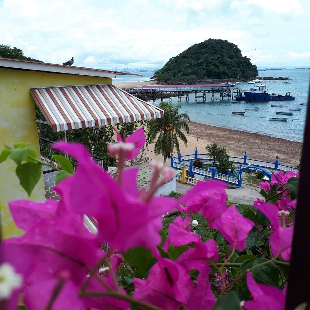 Flores y muelle de Taboga