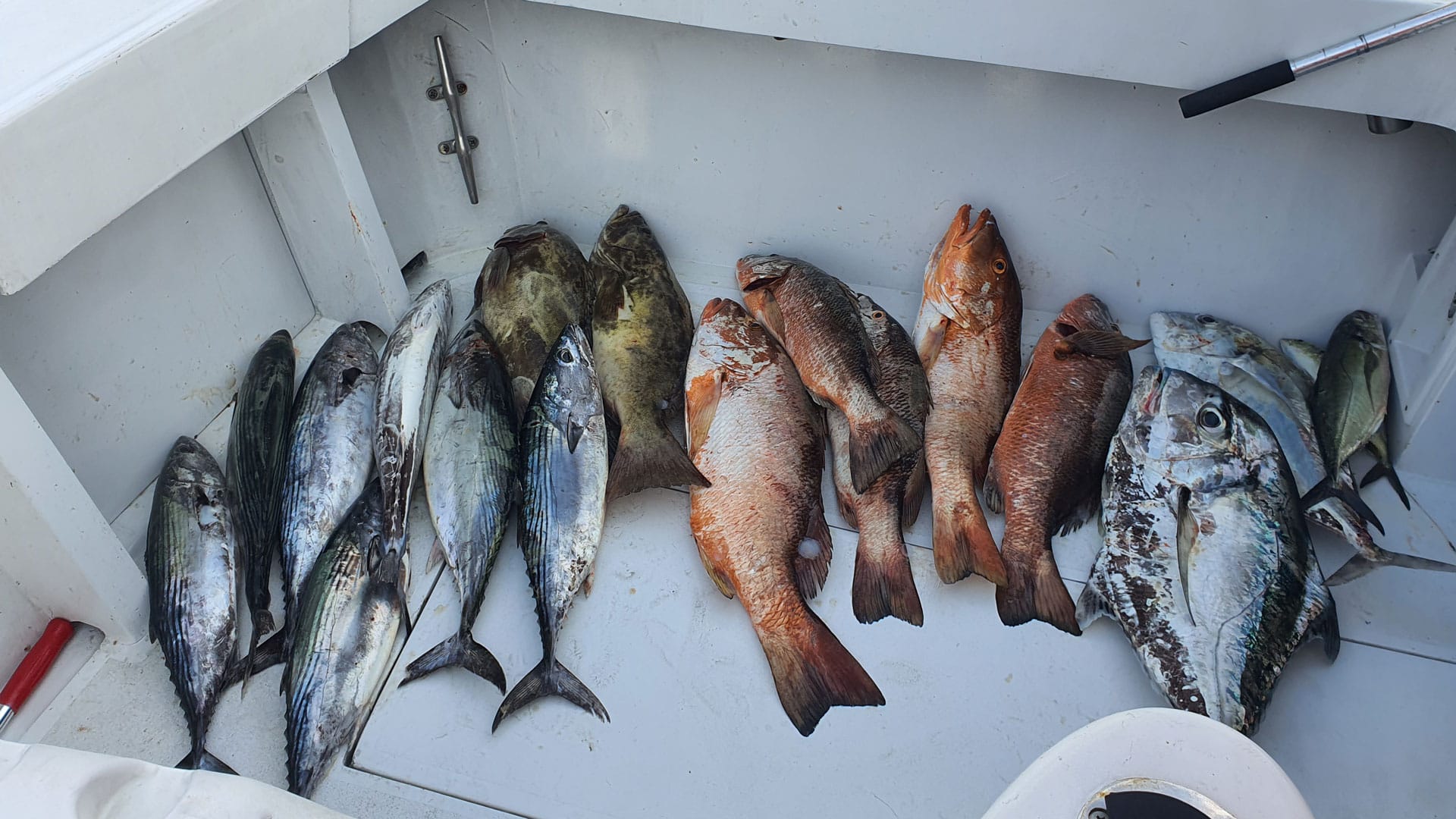 offshore fishing