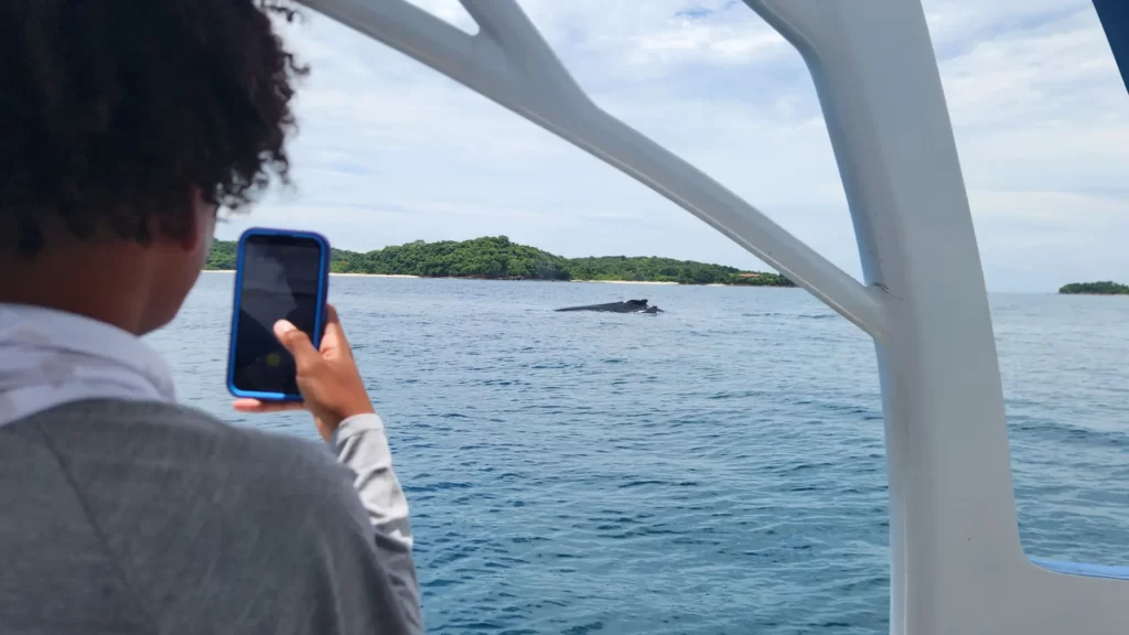 Pasajero fotografiando ballena cerca de una isla en Las Perlas