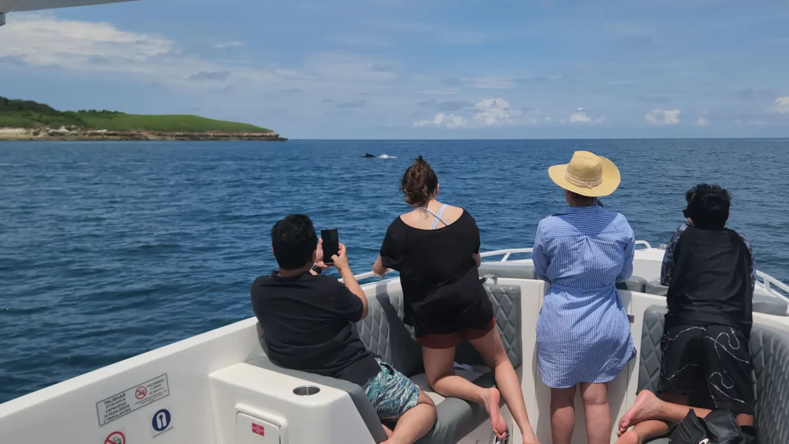 Grupo de pasajeros avistando ballenas desde el yate