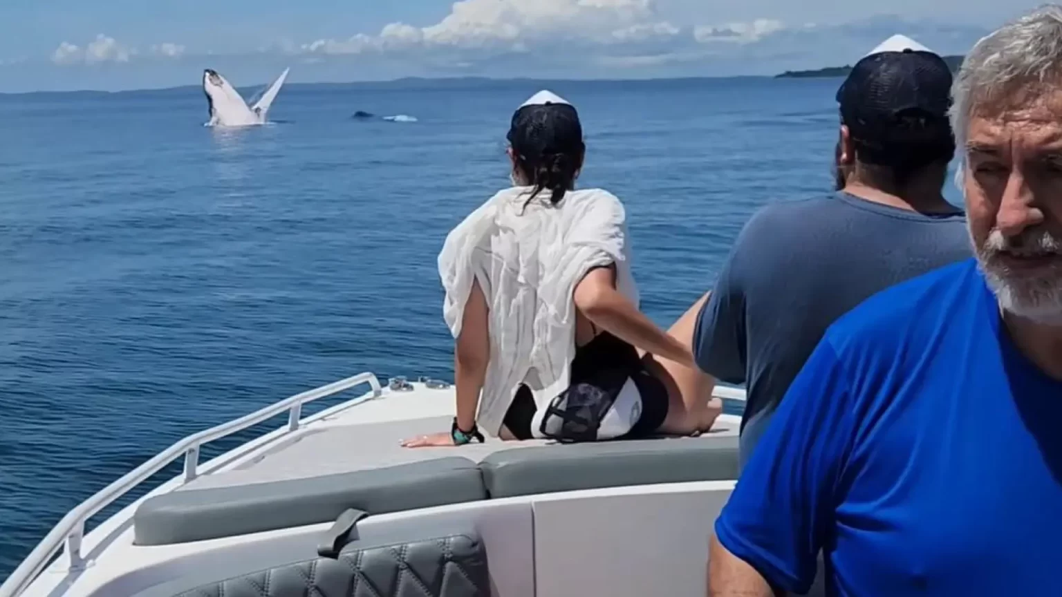Ballena jorobada saltando frente al yate en Panamá