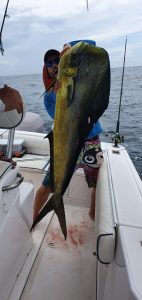 Pesca deportiva en Panamá: grandes capturas todo el año