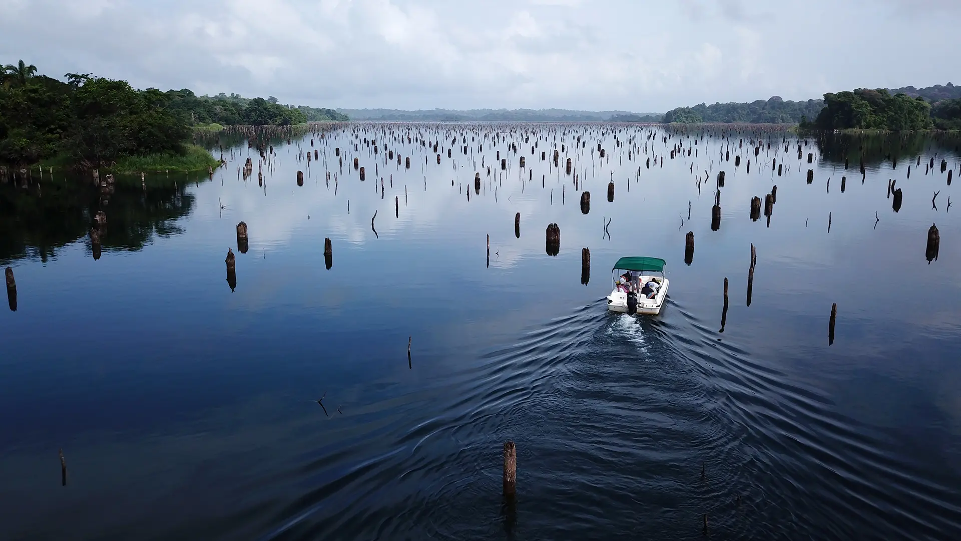 Pesca en Lago Gatún Panamá | Gatun Lake Fishing | Gem Charters Tours | Freshwater Fishing | Pesca de Agua Dulce