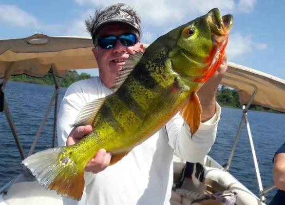 Pesca en Lago Gatún - Panama Gem Charters - Gatun Lake Fishing Tour